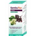 Extract of black elderberry with probiotic and zinc Sambuflor Syrup 120 ml